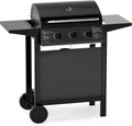 Barbecue à Gaz 24000 BTU avec 3 Brûleurs et Accessoires Complet